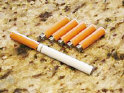 starter_kit